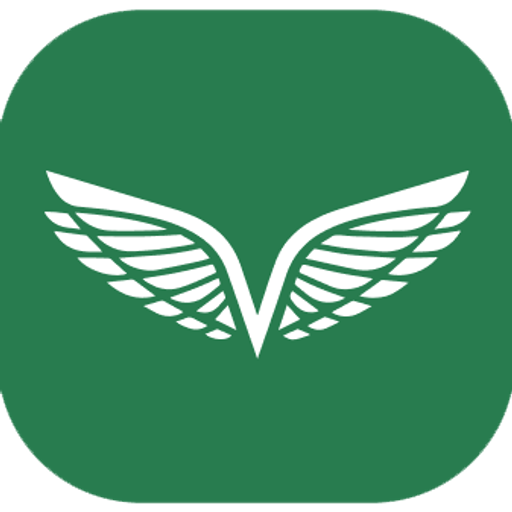 Logo NESR