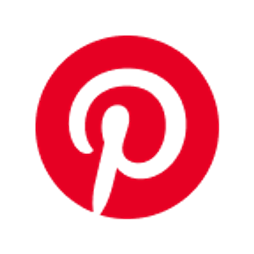 Logo PINS